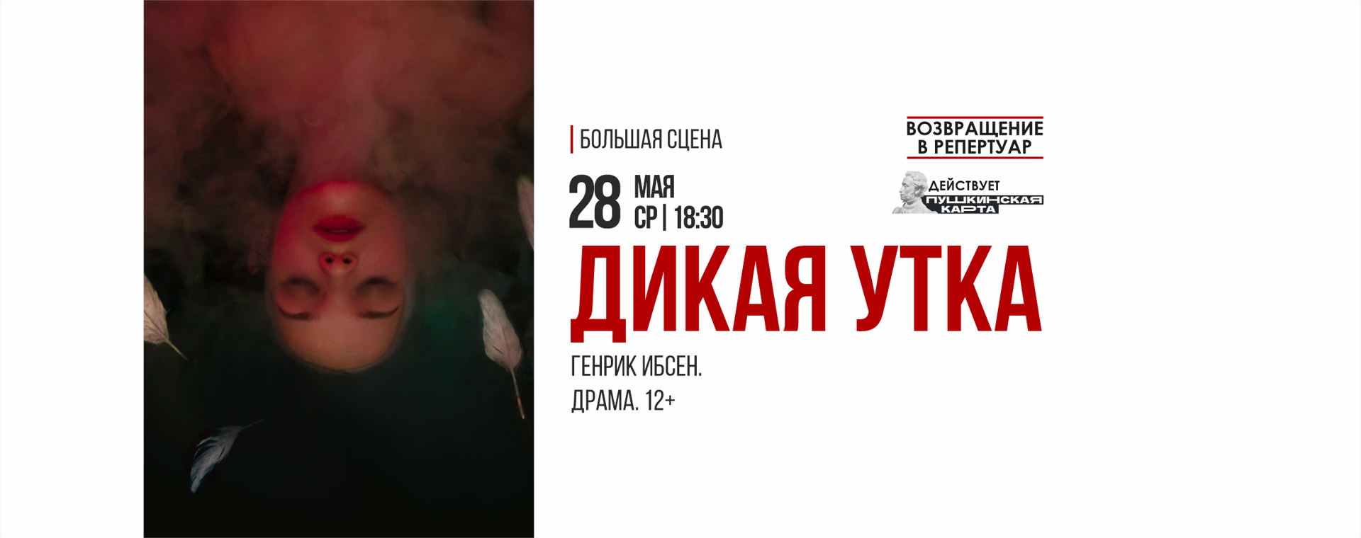 Дикая утка